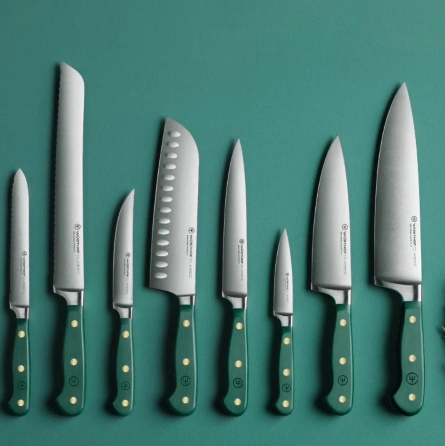 Wusthof Classic Colour Fresh Rosemary Steakmes 12 cm