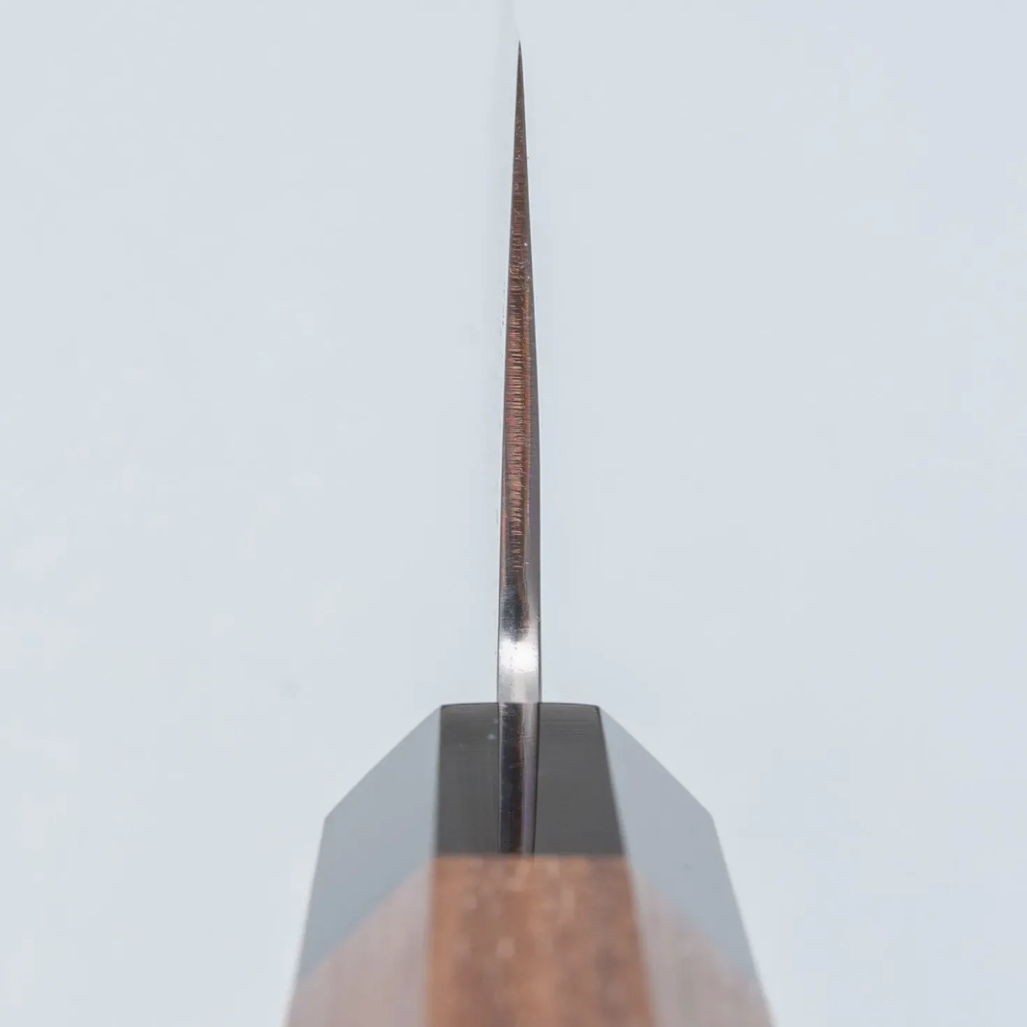 Yoshikazu Tanaka Shirogami #1 Damast Walnut Gyuto 24 cm