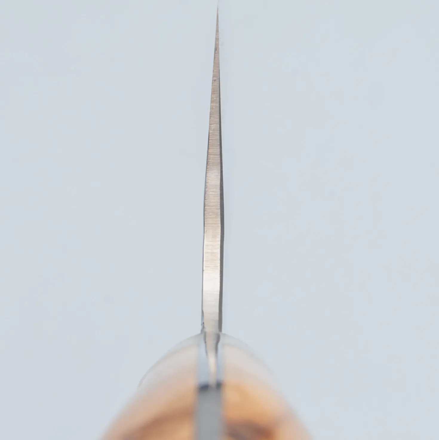 Yu Kurosaki Senko Maple Gyuto 21 cm