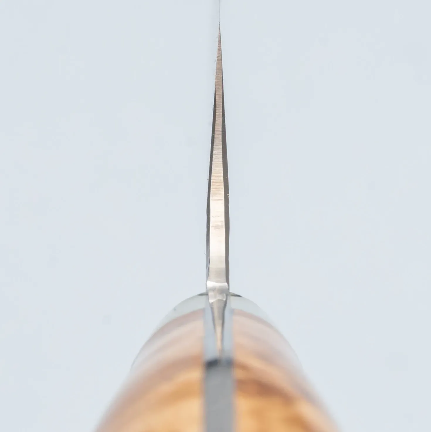 Yu Kurosaki Senko Maple Sujihiki 27 cm
