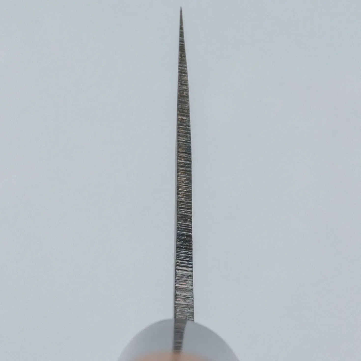Zakuri Aogami Super Gyuto 24 cm